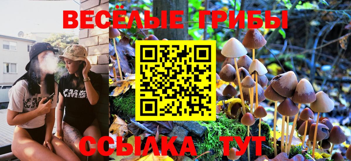 Псилоцибиновые грибы мицелий Удомля