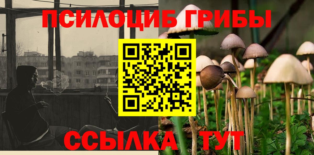 Галлюциногенные грибы мицелий Удомля