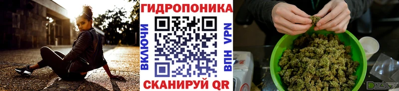 как найти закладки  Удомля  Конопля White Widow 